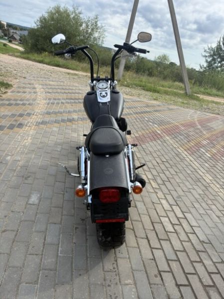 Harley-Davidson Fat Bob FXDF, 2009 г.