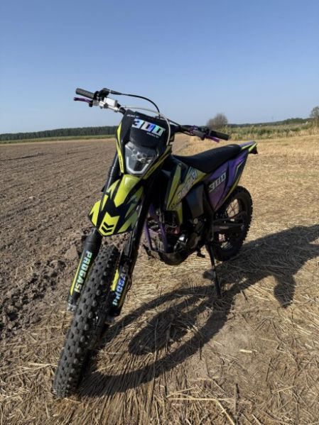 Progasi RACE 300 WAIF, 2024 г.
