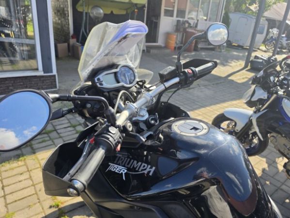 Triumph Tiger, 2010 г.