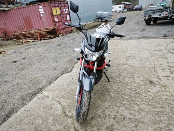 Regulmoto Raptor 250 NEW, 2024 г.
