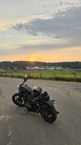 Harley-Davidson Sportster xl883 IRON, 2017 г.
