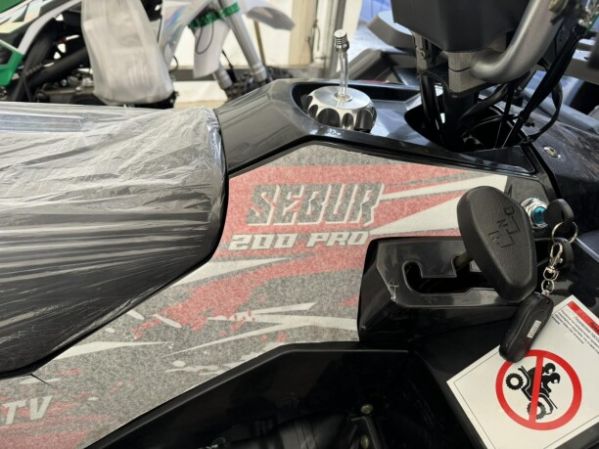 Sebur 200 PRO RED, 2024 г.