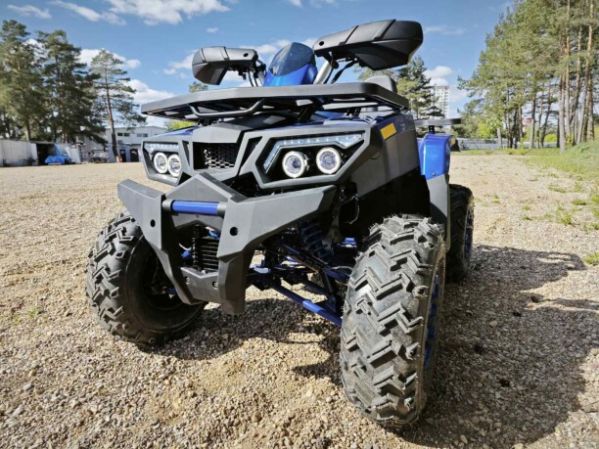 Motoland Wild Track 200 LUX, 2025 г.