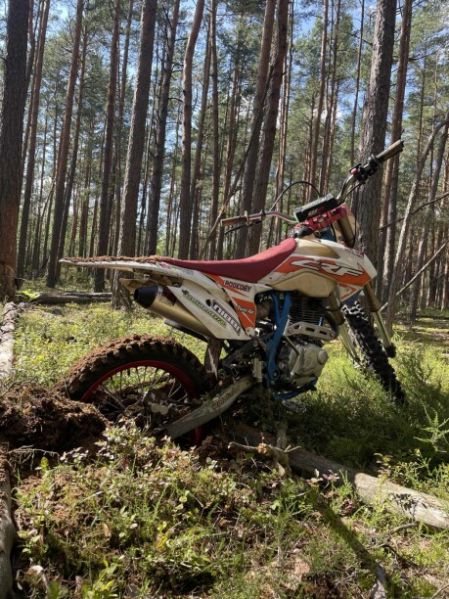 Motoland CRF, 2019 г.