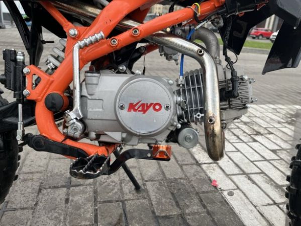 Kayo Evolution, 2023 г.