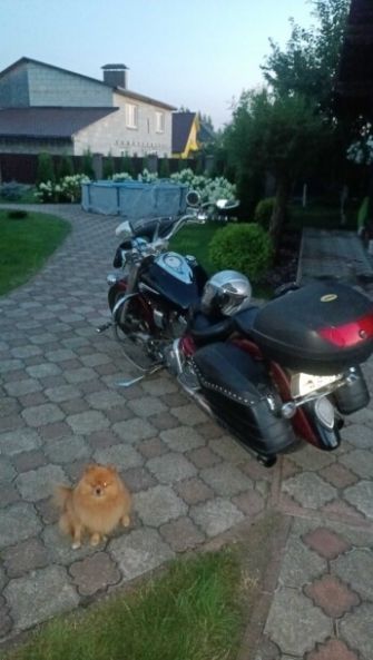 Yamaha XV, 2003 г.