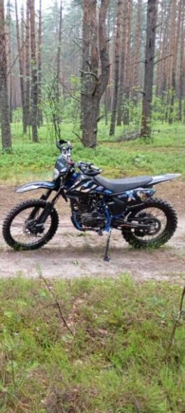 AVM BisonX 300 Кроссовый, 2026 г.