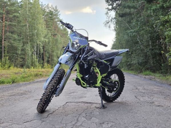 Progasi PALMA 250 NG, 2026 г.