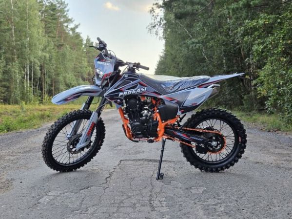 Progasi PALMA 300 NG, 2026 г.