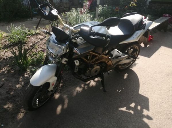 Aprilia Shiver, 2008 г.