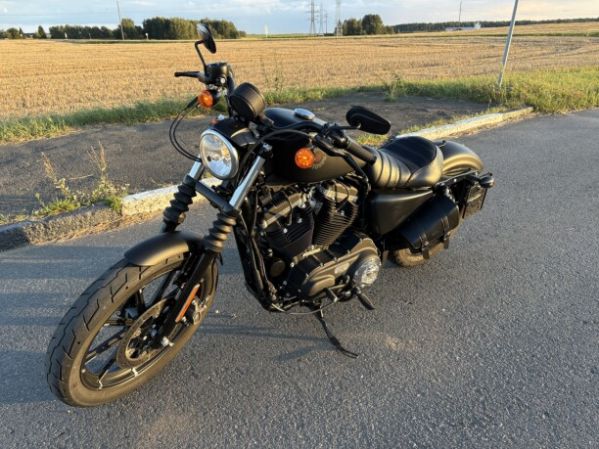 Harley-Davidson Sportster XL883 iron, 2019 г.