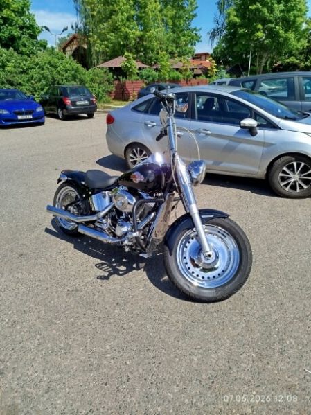 Harley-Davidson Fat Boy Custom, 2009 г.