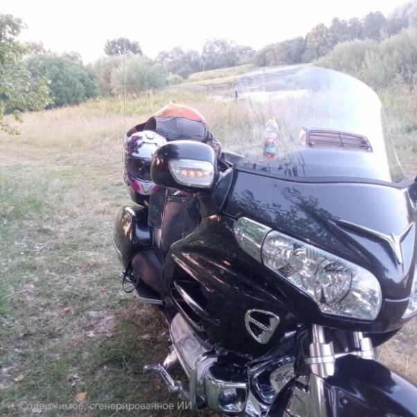 Honda Gold Wing, 2010 г.
