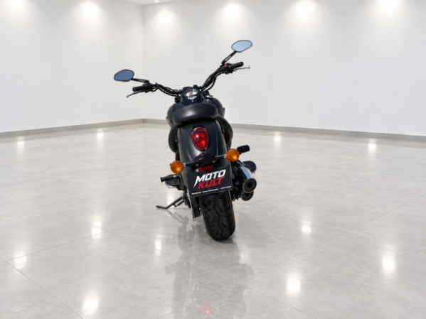 Kawasaki VN 900, 2018 г.