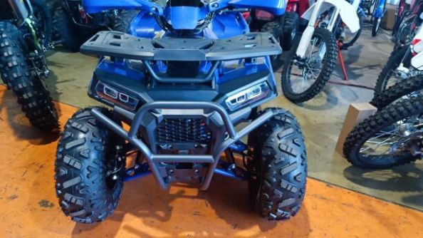 Motax ATV Grizlik D125, 2025 г.