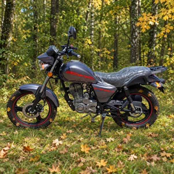 Hors Z 150, 2026 г.