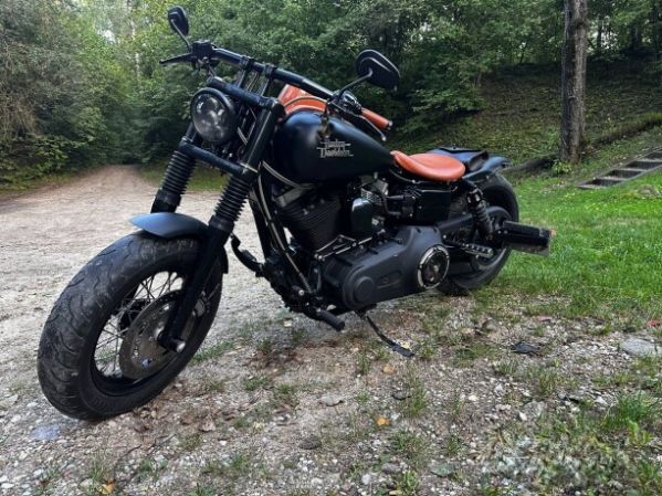 Harley-Davidson Dyna Street Bob custom, 2014 г.
