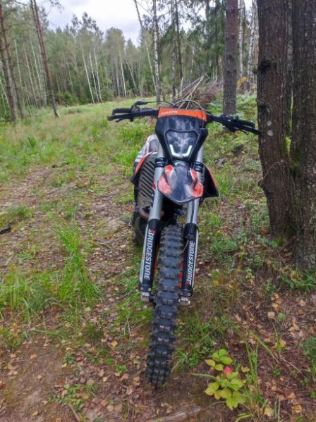 Avantis Enduro 300 Pro/EFI, 2023 г.