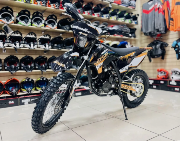 BSE Z1 Elysium, 2026 г.