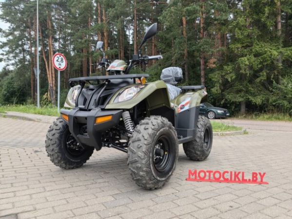 Kayo AU300 Carb, 2026 г.