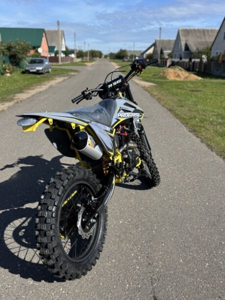 Progasi PALMA 300 PRO, 2026 г.