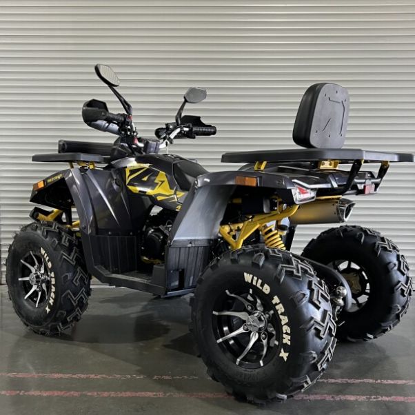 Motoland Wild Track X PRO, 2025 г.