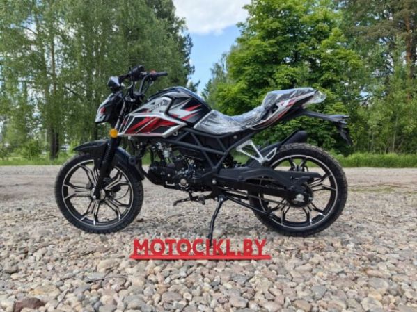 Roliz ALPHA URSA STREET, 2026 г.