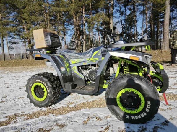 Motoland Wild Track 200 X WINCH, 2025 г.