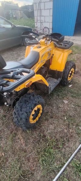 Motoland 200 Wild Track, 2024 г.