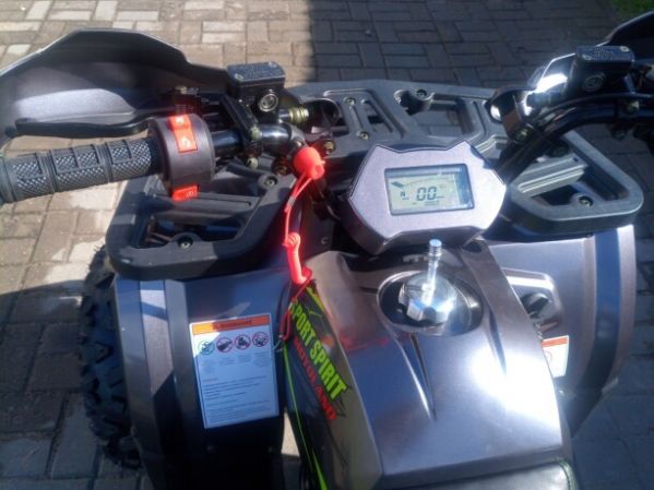 Motoland Wild 125, 2026 г.