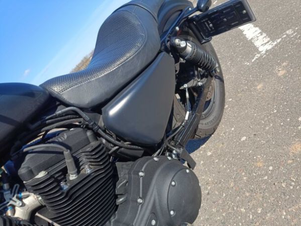 Harley-Davidson Sportster, 2021 г.
