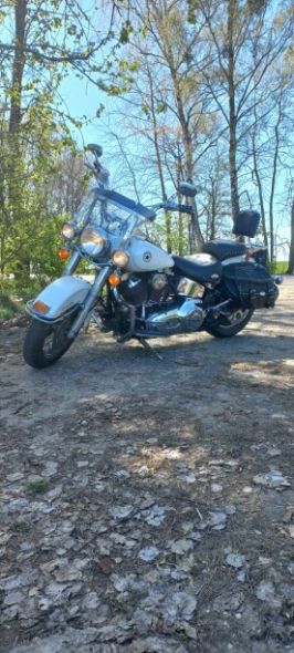 Harley-Davidson Softail FLSTCI, 2004 г.