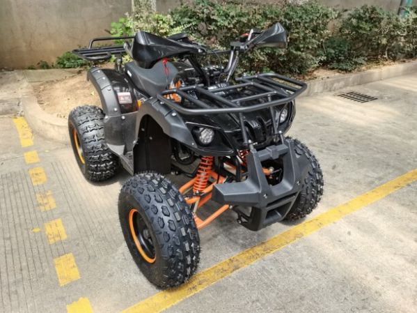 Motoland Wild Fox, 2025 г.