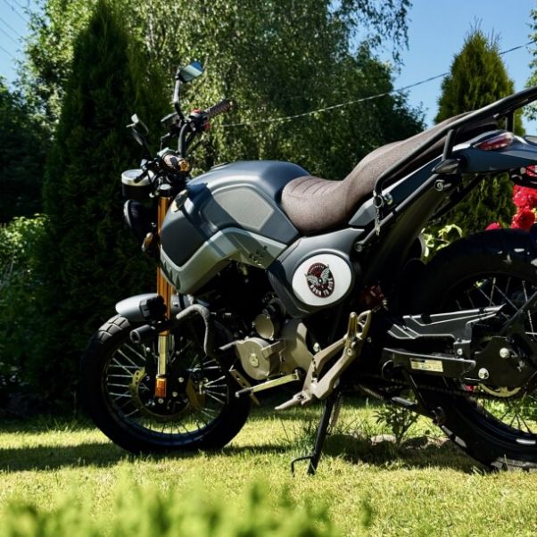 Shineray Sport 250 Cobra, 2025 г.