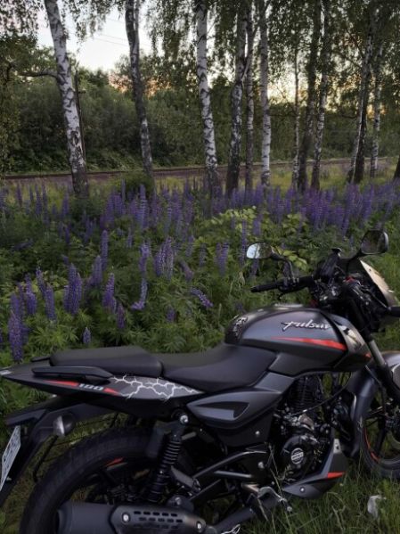 BAJAJ Pulsar, 2023 г.