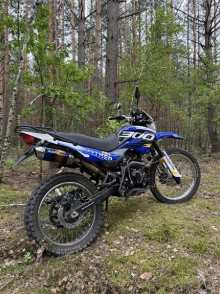 Racer Panther, 2019 г.
