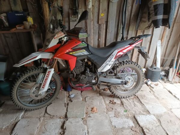 Motoland FX 300, 2025 г.