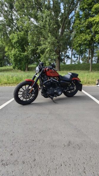 Harley-Davidson Sportster Iron, 2013 г.
