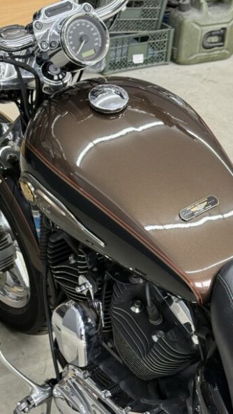 Harley-Davidson Sportster XL1200C anniversary, 2013 г.