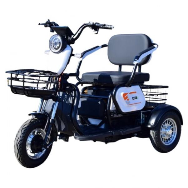 BMW GG Электротрицикл Terax APKI (SVITYAZ NS003, 2025 г.