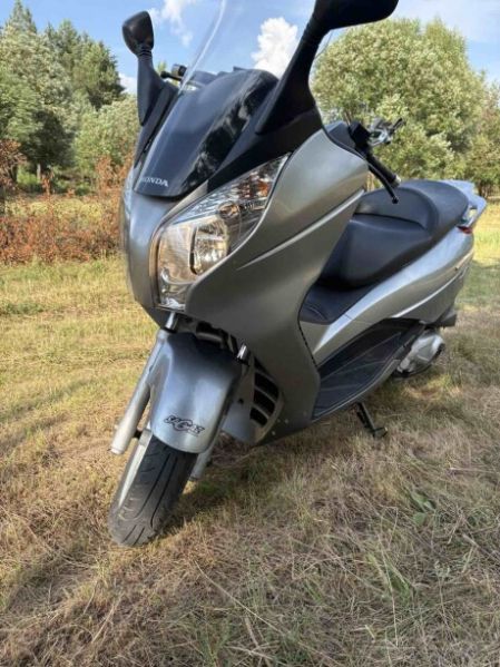 Honda Silver Wing, 2008 г.