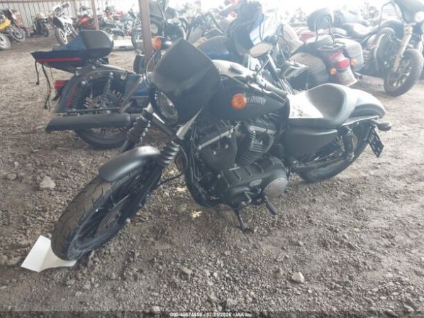 Harley-Davidson Sportster Iron 883, 2013 г.