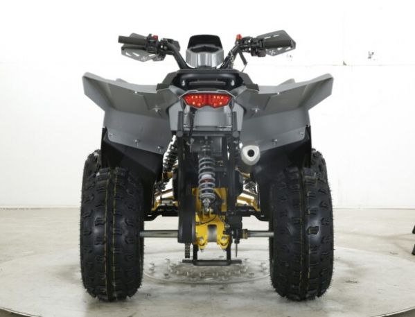 Motax ATV Grizlik D125 RAPTOR, 2025 г.