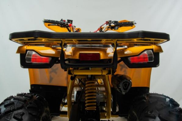 Motoland Wild X 125, 2026 г.
