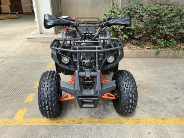 Motoland Wild Fox, 2025 г.