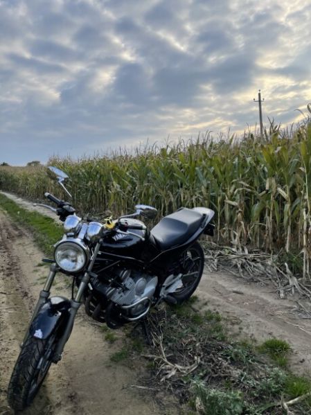 Yamaha XJ 600n, 1995 г.