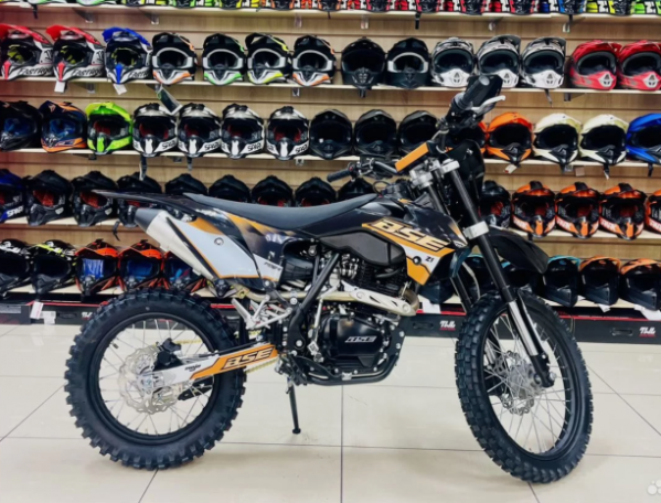 BSE Z1 Elysium, 2026 г.