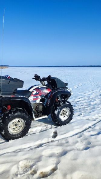 Yamaha Grizzly, 2010 г.