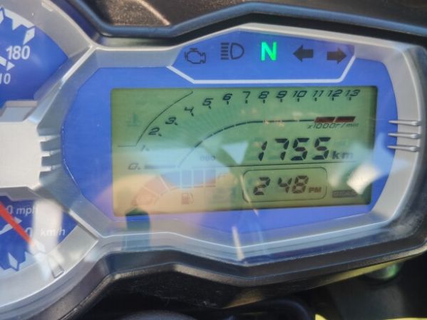 Regulmoto T-Leopard, 2024 г.