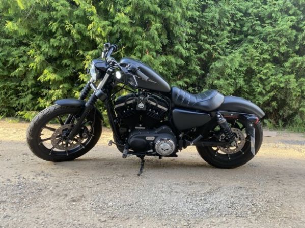 Harley-Davidson Sportster 883, 2019 г.